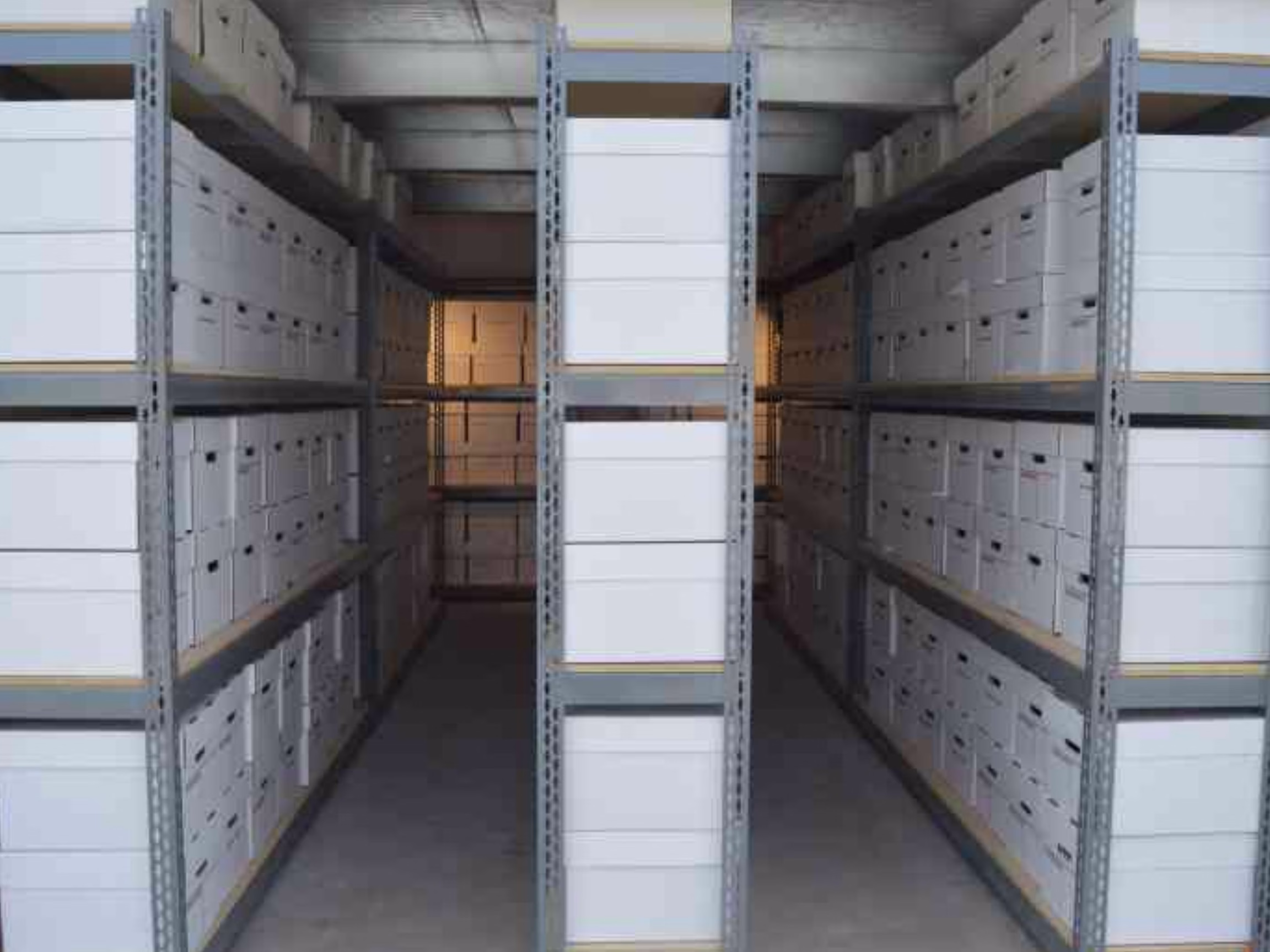 Document storage container with organized archive boxes on shelves for secure business records management.